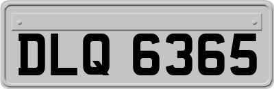 DLQ6365