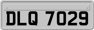 DLQ7029