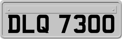 DLQ7300