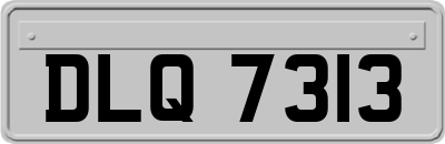 DLQ7313