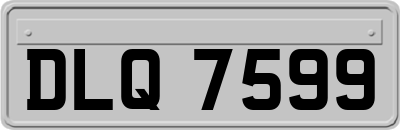 DLQ7599