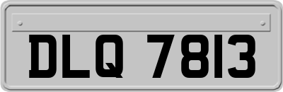 DLQ7813