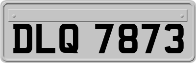 DLQ7873