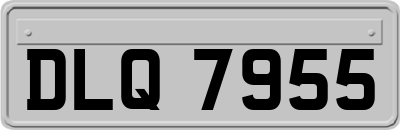 DLQ7955