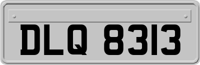 DLQ8313