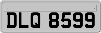 DLQ8599