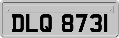 DLQ8731