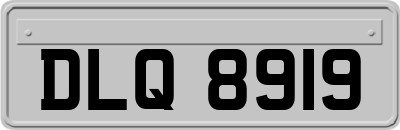 DLQ8919