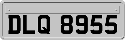 DLQ8955