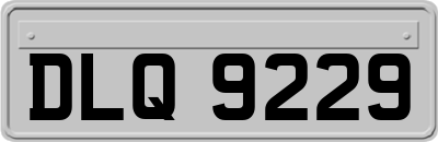 DLQ9229