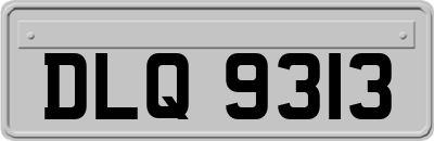DLQ9313