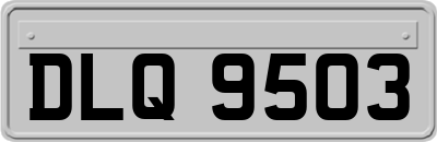 DLQ9503