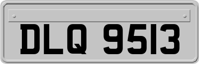 DLQ9513
