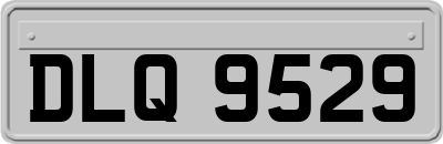DLQ9529