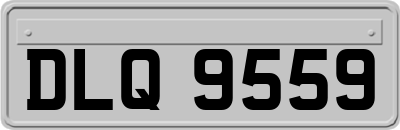 DLQ9559