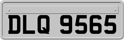 DLQ9565