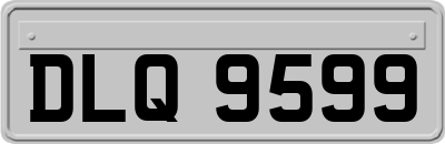 DLQ9599