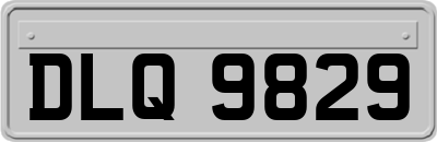 DLQ9829