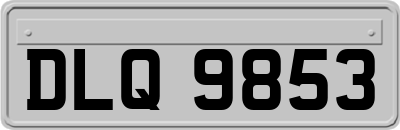 DLQ9853