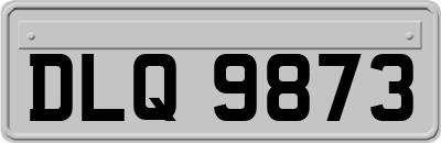 DLQ9873