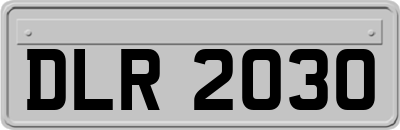 DLR2030