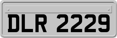 DLR2229