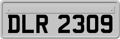 DLR2309