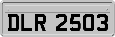 DLR2503