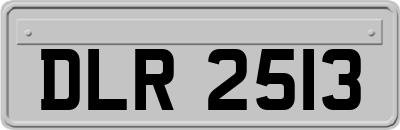 DLR2513