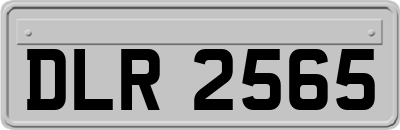 DLR2565