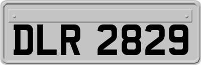 DLR2829