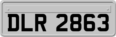 DLR2863