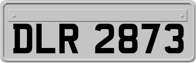 DLR2873