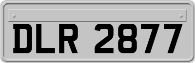 DLR2877