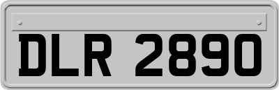 DLR2890