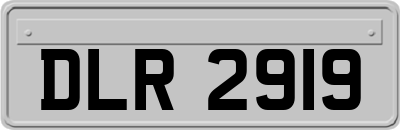 DLR2919
