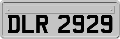 DLR2929