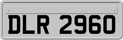 DLR2960