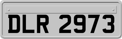 DLR2973
