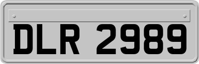 DLR2989