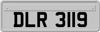 DLR3119