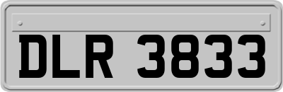 DLR3833