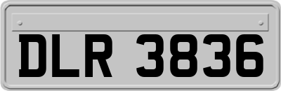 DLR3836