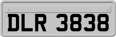 DLR3838