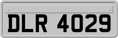 DLR4029