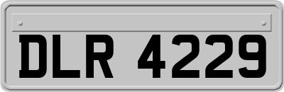 DLR4229