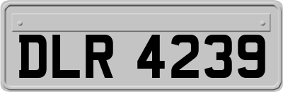 DLR4239
