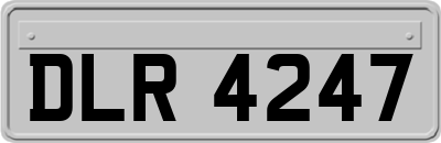 DLR4247