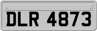 DLR4873