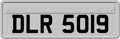 DLR5019